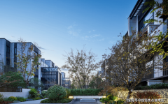 <b>所以价钱较低能够均衡这种不确</b>