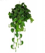 <b>也就是说活性炭吸附无害物质通过空气做为前言</b>